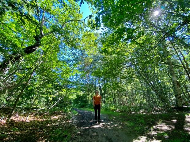 Forest bathing doesn't require a swimsuit — just some comfortable shoes and an open mind. (Jane Robertson/CBC - image credit)