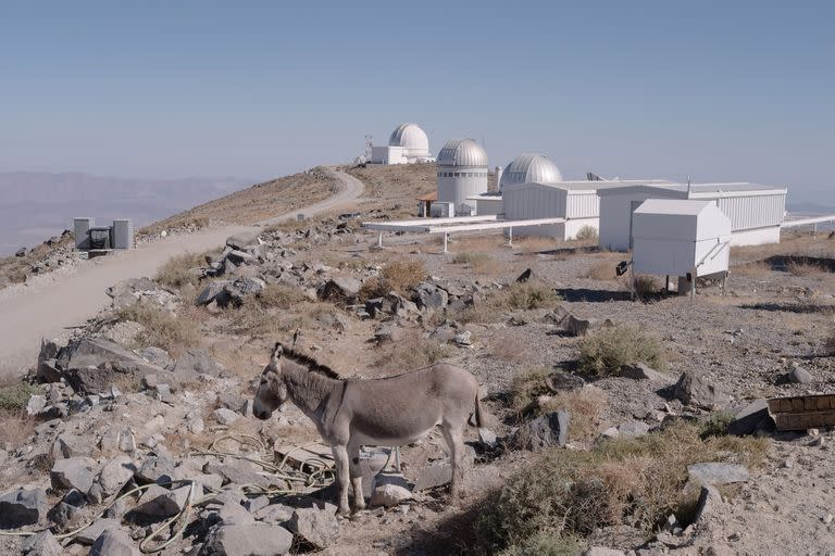 Telescopio; Chile;  Las Campanas; ciencia; Tecnología; Magellan;Observatorio; Atacama