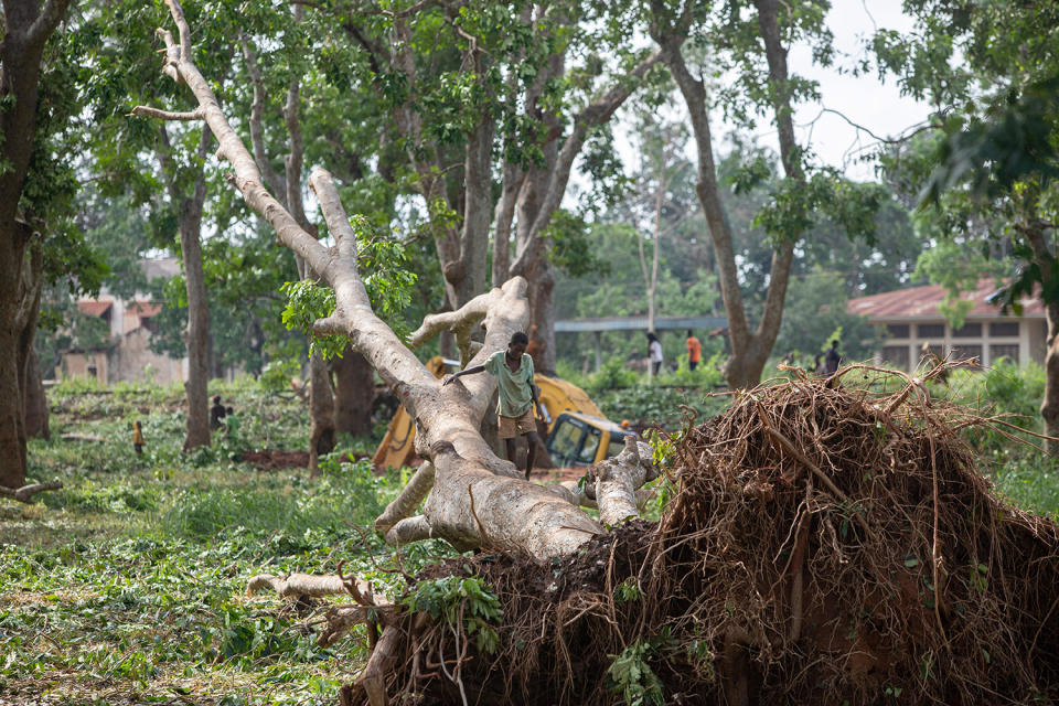 March: Tropical Cyclone Gombe Kills More Than 50 in Mozambique