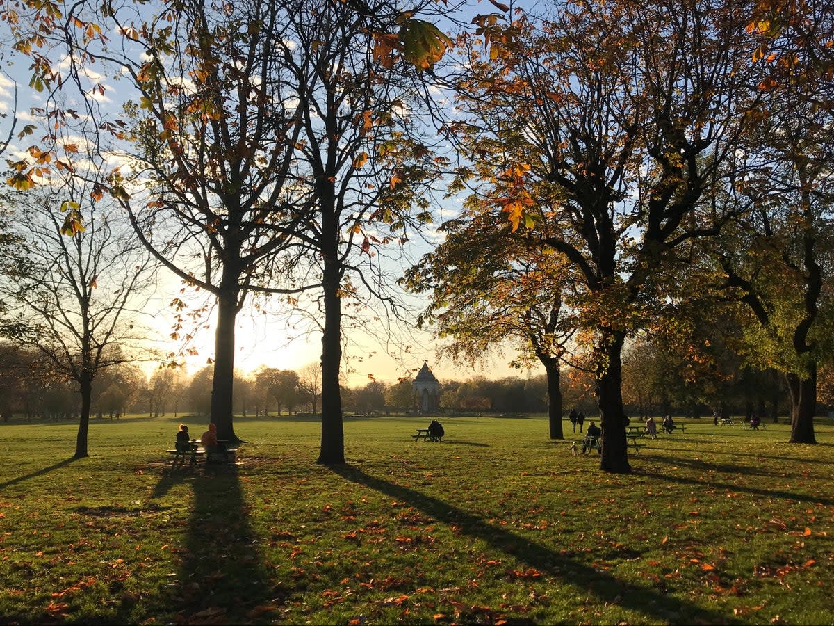 Victoria Park has plentiful cafes and pubs on its outskirts (Getty Images/iStockphoto)