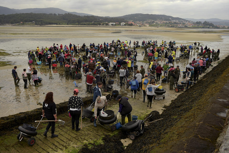 Buscadores de almejas se reúnen en el estuario de Lourizán, antes de iniciar su jornada laboral en Galicia, en el norte de España, el jueves 20 de abril de 2023. (AP Foto/Alvaro Barrientos)