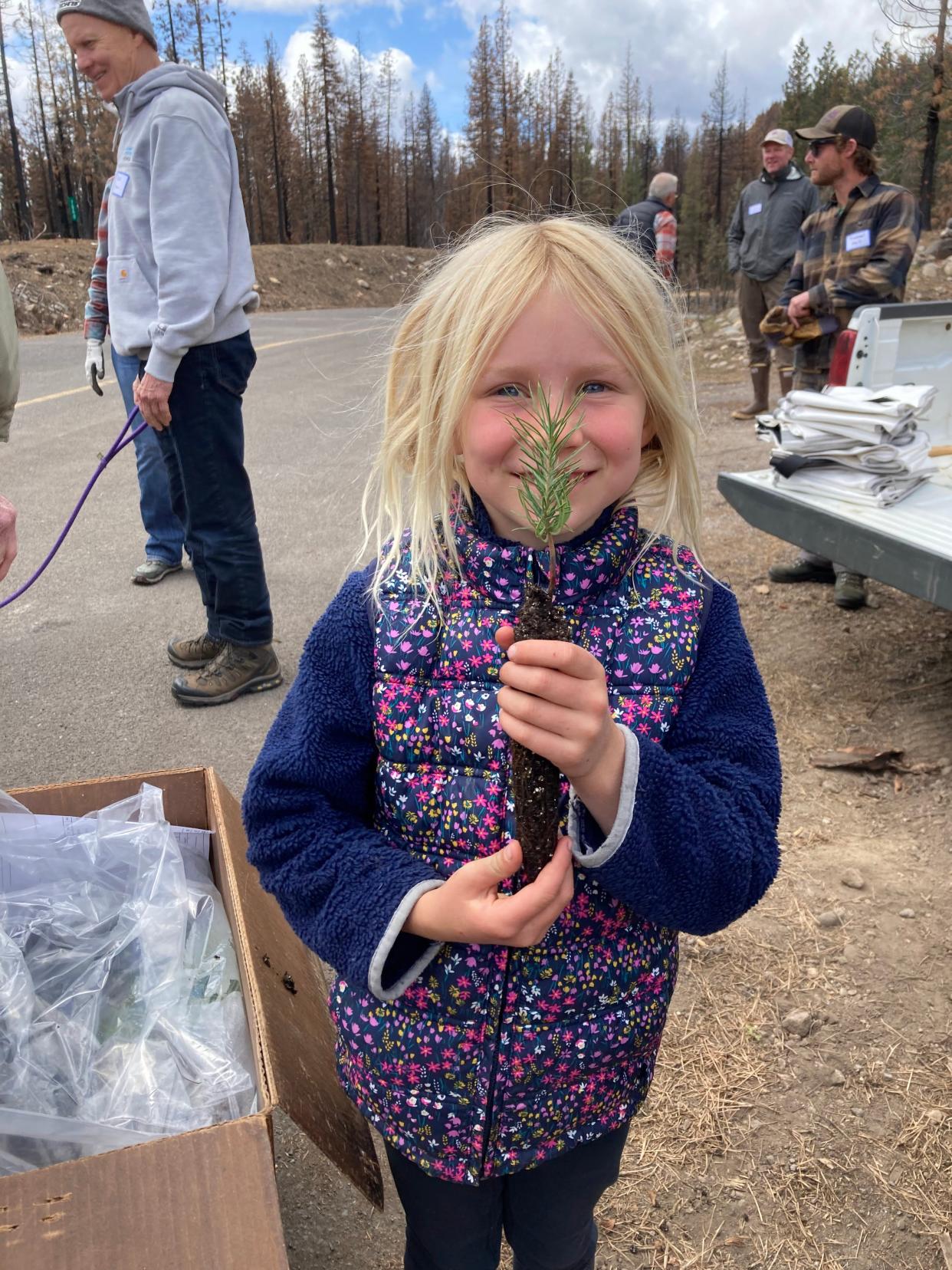 Summer in Plumas County, 2022: Volunteers with Friends of Warner Valley community group plant trees on private properties in the Warner Valley that were damaged by the Dixie Fire in 2021.