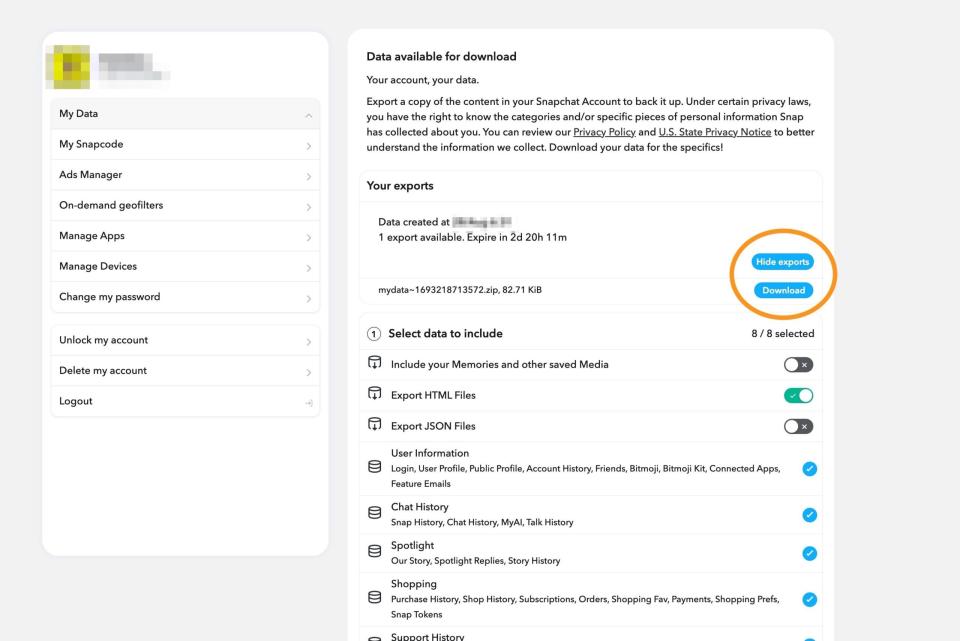Snapchat's data screen.