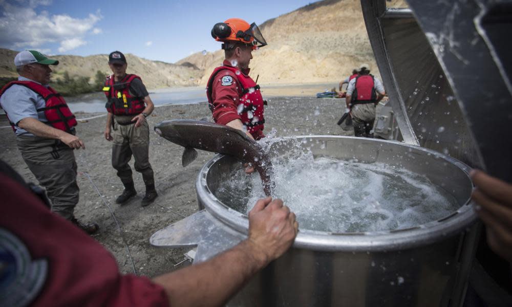 <span>Photograph: Darryl Dyck/AP</span>