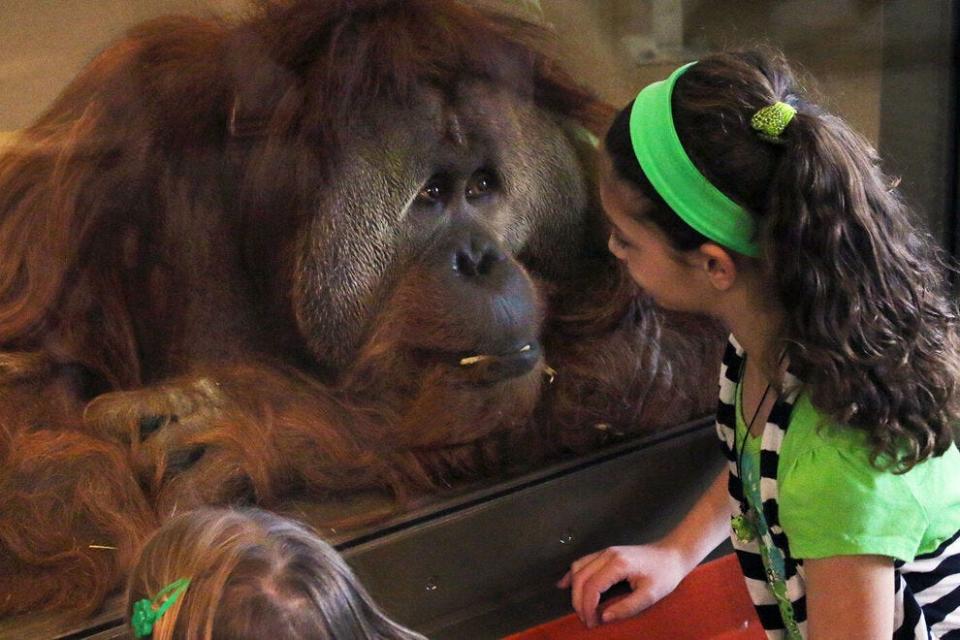 Indianapolis Zoo