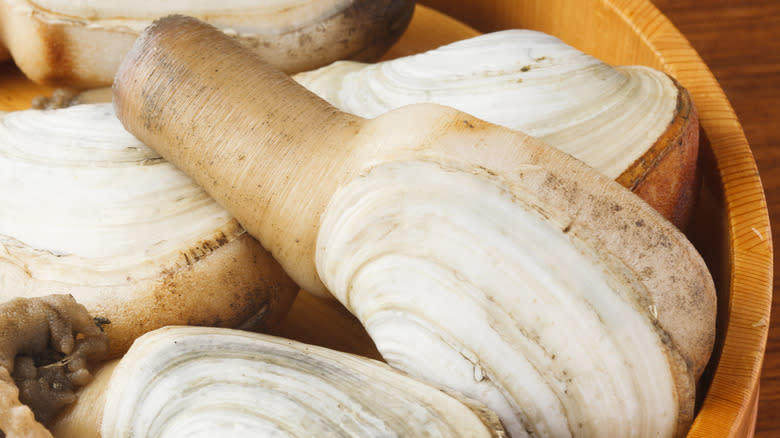 geoducks in bowl