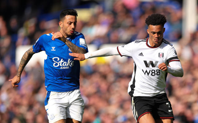 Everton vs Fulham team news: six players ruled out and four now doubtful - gallery