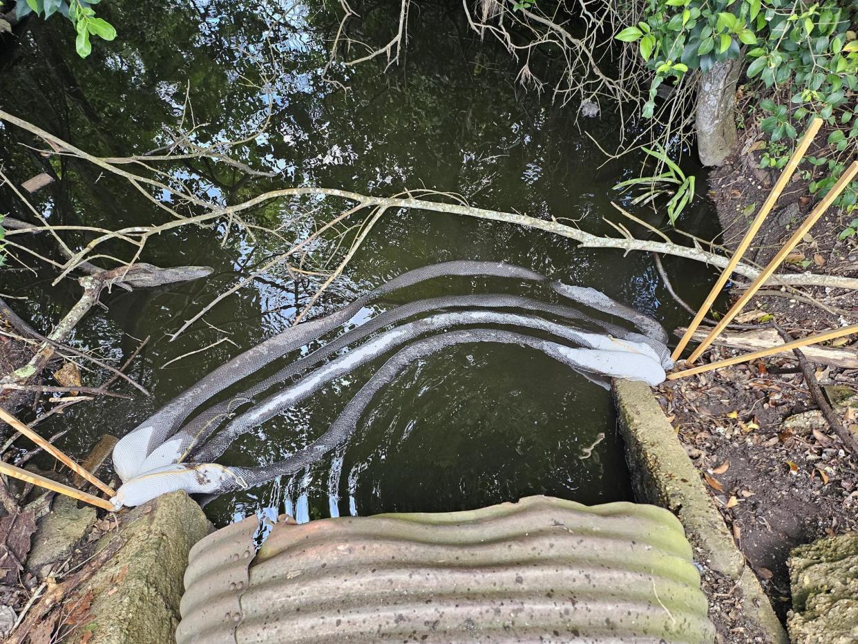 Crude oil invades Bayou Lafourche Saturday, July 27, from a leak at a Crescent Midland facility between 4065 and 4101 LA 308.