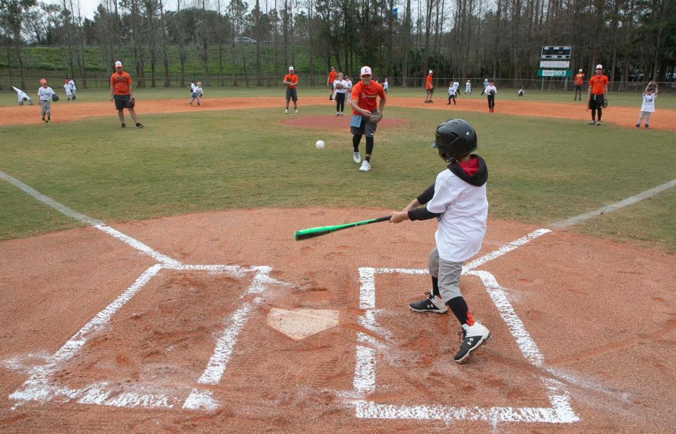 The Peterson Park baseball complex in South Lakeland.