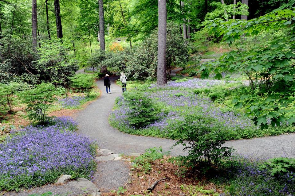 Garden in the Woods in Framingham.