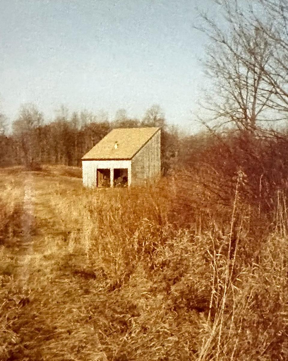 An archival photo of the cabin. Courtesy of Eliza Gran