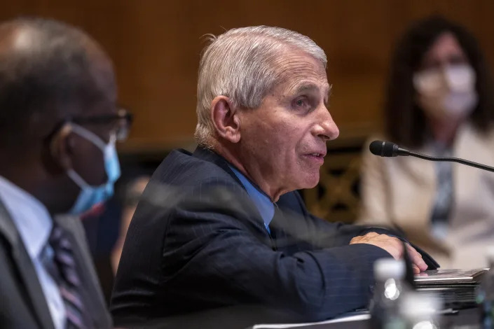 Dr. Anthony Fauci sits at a microphone.