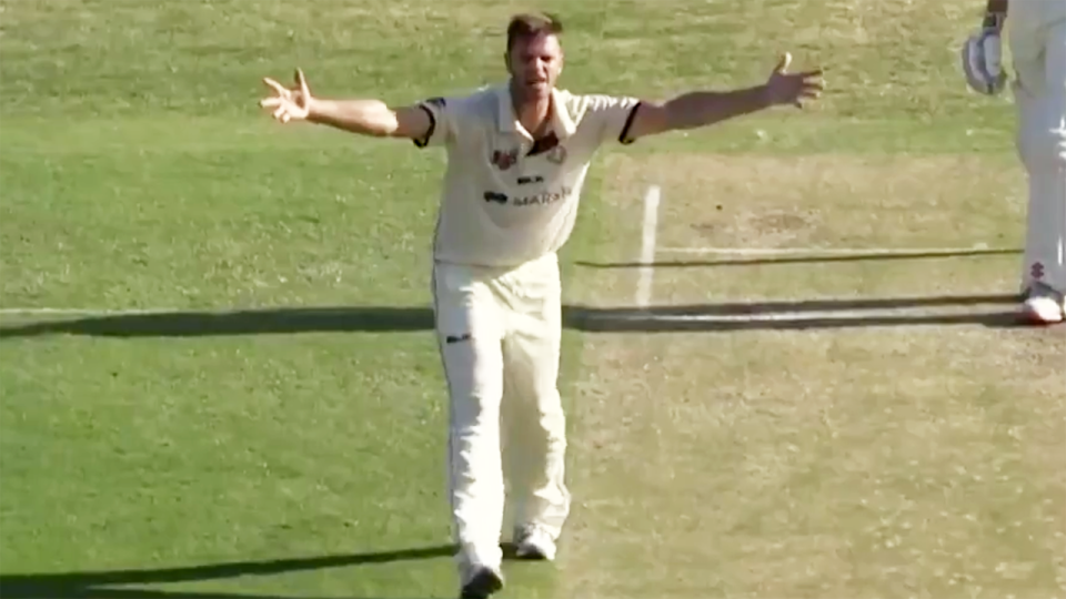 Mark Steketee, pictured here raging at the umpire in the Sheffield Shield.