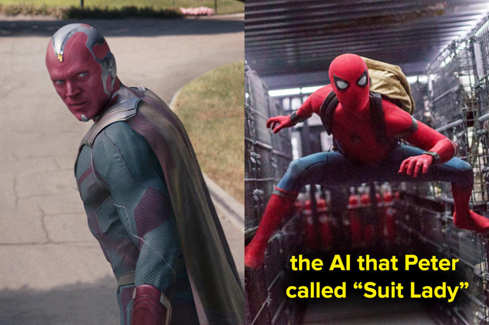Vision and the AI Peter called "Suit Lady"