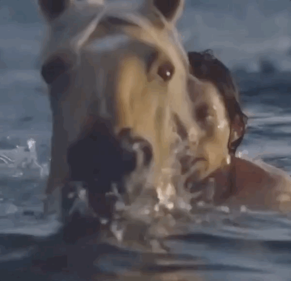 Adam Driver is swimming in the ocean with a horse