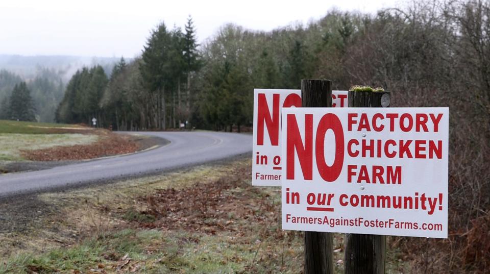 Signs opposing a factory Chicken Farm are posted along a road in Scio, Ore. on Wednesday, Feb. 16, 2022.
