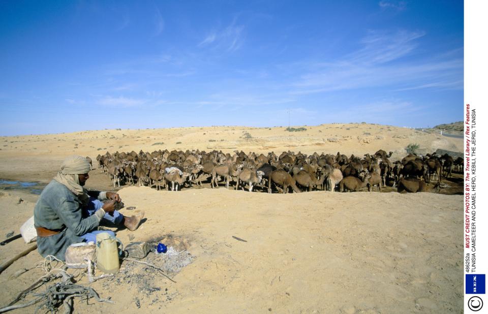 <b>Kebili, Tunesien</b><br><br> Hitzerekorde von 55°C sind im tunesischen Kebili keine Seltenheit – und machen den Staat im Norden Afrikas so zu einem echten Hot-Spot. (Bild: Rex Features)