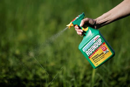 FILE PHOTO: A woman uses a Monsanto's Roundup weedkiller spray without glyphosate in a garden in Ercuis near Paris, France, May 6, 2018. REUTERS/Benoit Tessier/File Photo