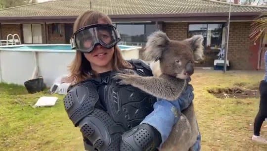 Debi Edward wearing body armour to hold a koala (Credit: Sean Mulcahy/Facebook)