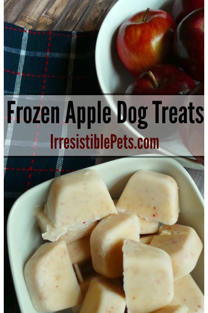 homemade dog treats, frozen apple dog treats, irresistible pets
