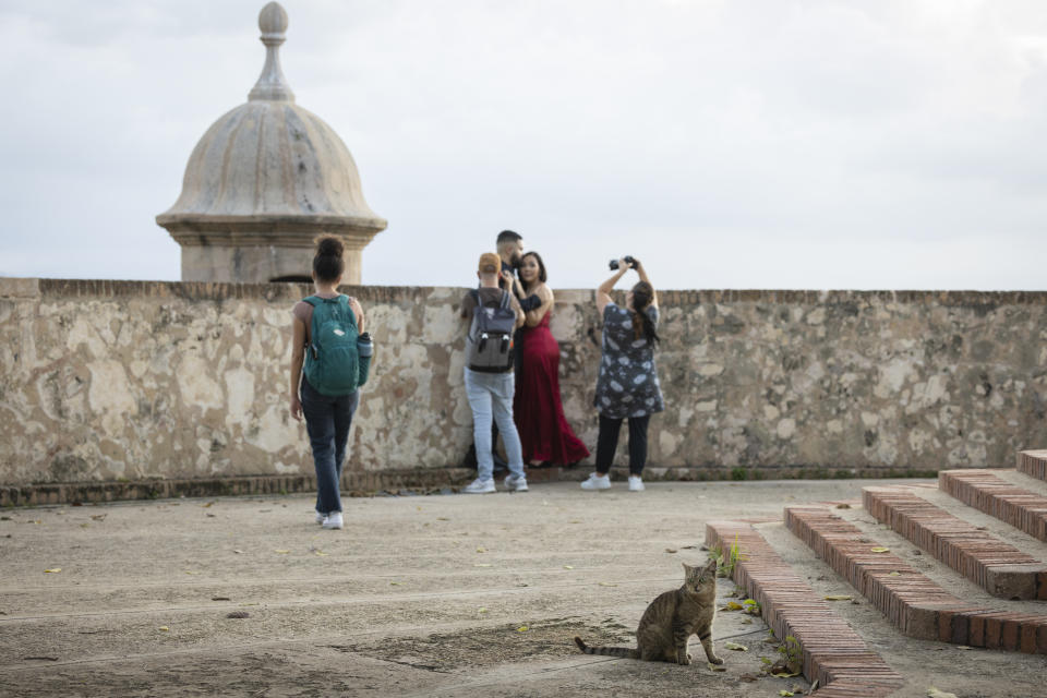 A stray cat sits near a couple taking photos in Old San Juan, Puerto Rico, Wednesday, Nov. 2, 2022. Officials are offering two options to manage the cat population; remove the cats or retain the status quo, which includes maintaining feeding stations, spaying or neutering cats and removing those that have not been tagged, work currently done by Save a Gato, a nonprofit organization. (AP Photo/Alejandro Granadillo)