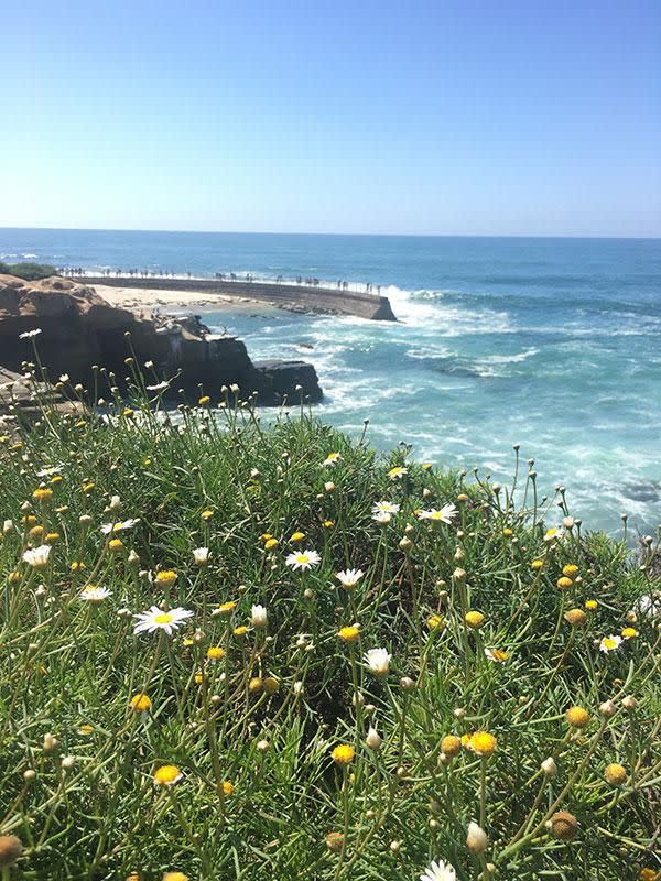 La Jolla's crystal blue waters give Bondi a run for its money. Photo: Be