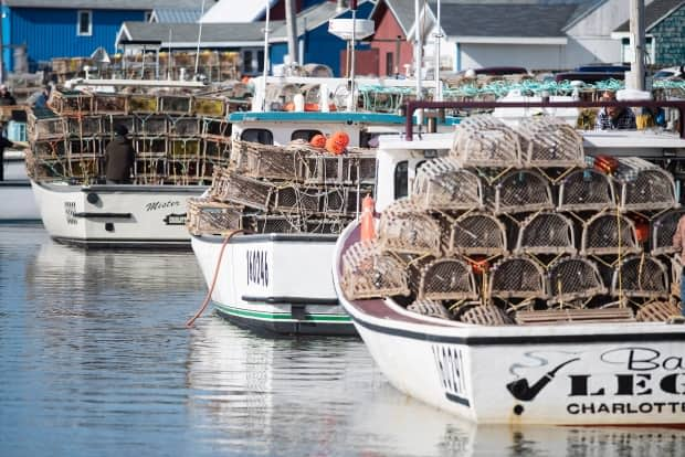 The wharf at North Rustico was jammed with boats and traps on May 4, setting day 2021. 