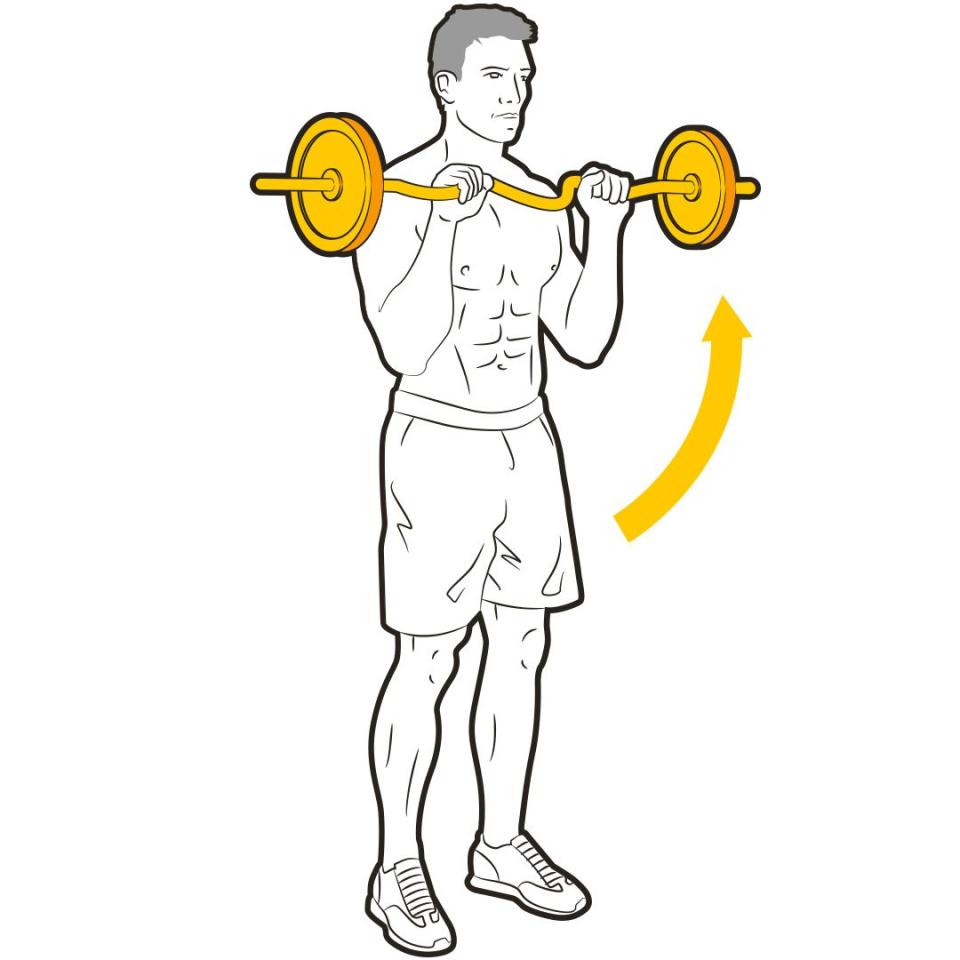 3) EZ Bar Reverse Curl, 3 sets of 12-15 reps