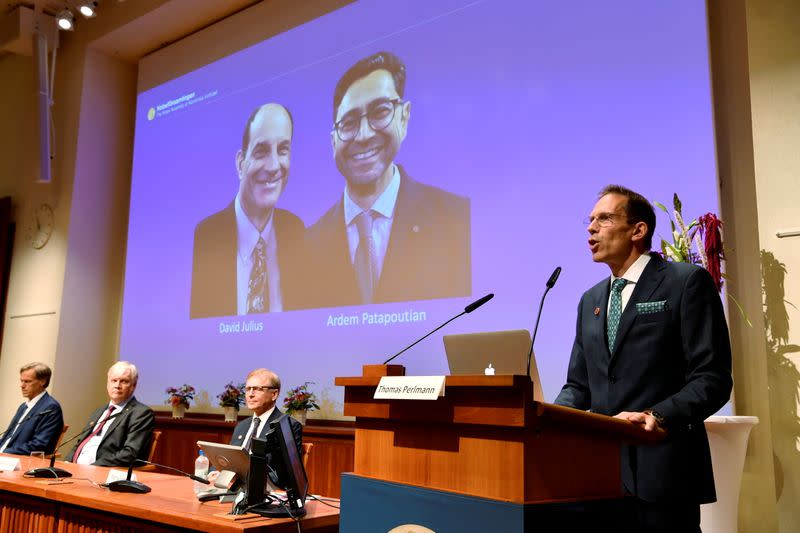 FILE PHOTO: Announcement of 2021 Nobel Prize in Physiology or Medicine