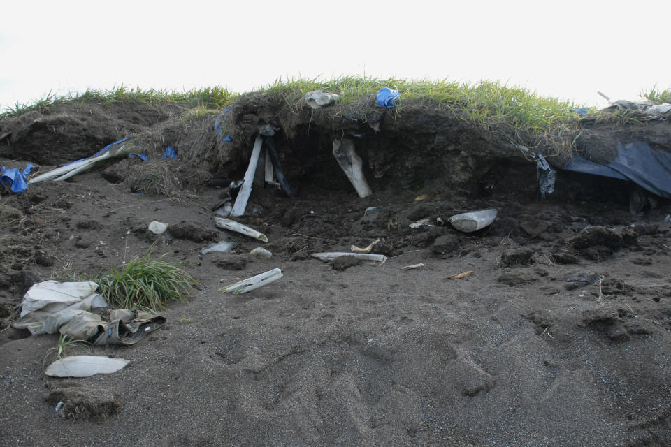 This Sept. 23, 2019, photo in Point Hope, Alaska, shows an abandoned, eroded ice cellar, a type of underground food cache dug into the permafrost to provide natural refrigeration used for generations in far-north communities. Naturally cooled underground ice cellars, used in Alaska Native communities for generations, are becoming increasingly unreliable as a warming climate and other factors touch multiple facets of life in the far north. (Anne Jensen via AP)