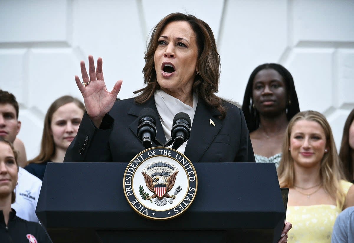 JD Vance’s misogynistic remark from 2021 about vice president Kamala Harris has resurfaced as she runs for president  (AFP via Getty Images)