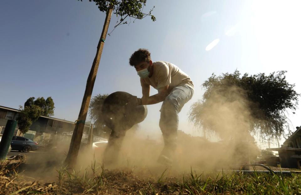 Eduardo Armenta plants a tree.