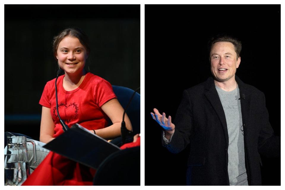 Greta Thunberg and Elon Musk (Kate Green/Getty Images - JIM WATSON/AFP)