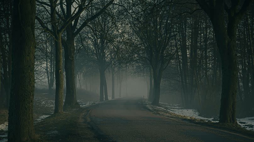 Der Mangel an Sonnenschein im Winter lässt unseren Melatoninspiegel in die Höhe schnellen, während der Serotoninspiegel sinkt.