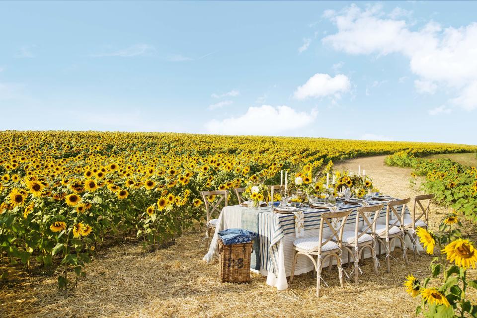 The Prettiest Sunflower Fields to Visit Across the U.S.