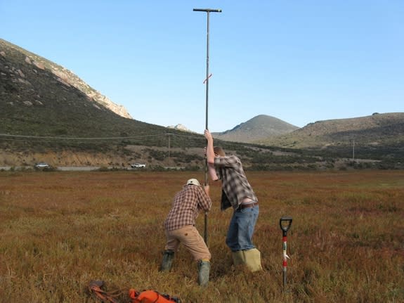 Humboldt State University geologists collecting sediment samples in the Morro Bay estuary. Sediments in the marsh preserve evidence of past tsunamis.