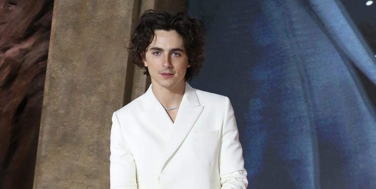 Timothée Chalamet lands next leading role in a film