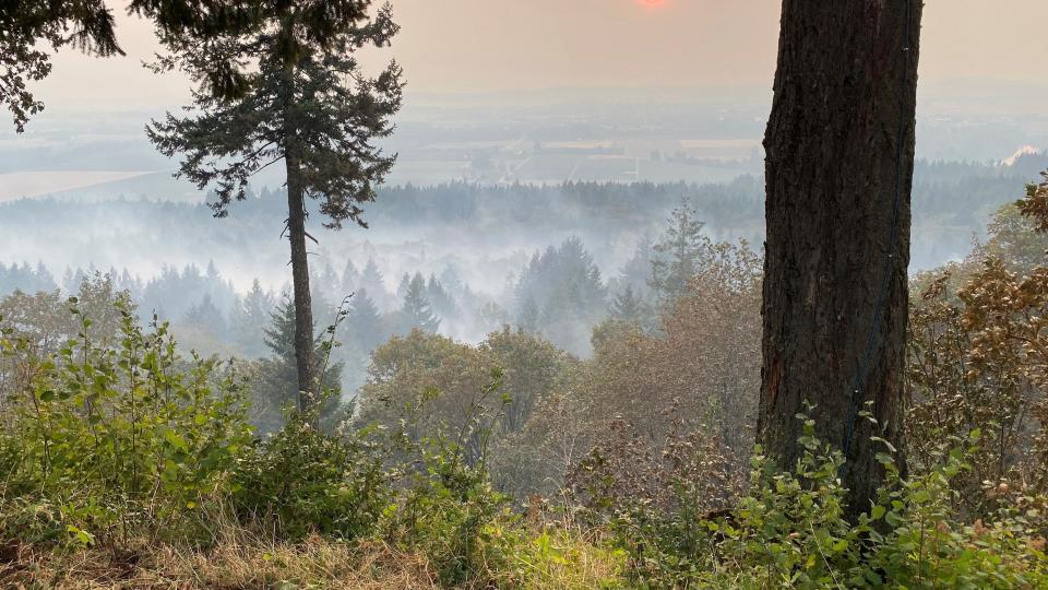 The Vitae Springs Fire, estimated at 124 acres, is burning in what was described as a densely populated, heavily forested area of rugged terrain south of Salem.