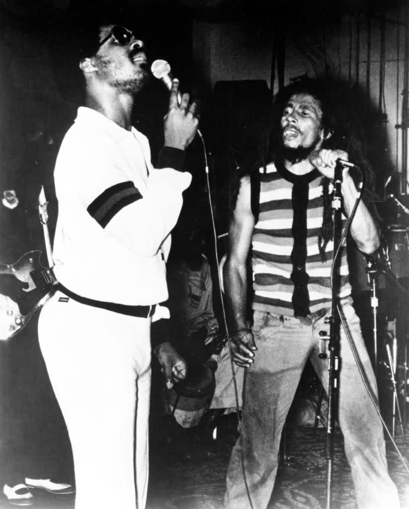 Bob Marley and Stevie Wonder 