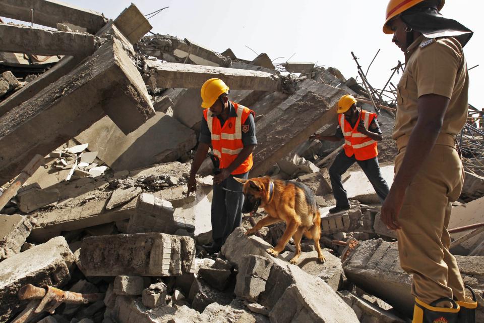 Rescuers with a sniffer dog search for workers believed buried in the rubble of a building that collapsed late Saturday during monsoon rains on the outskirts of Chennai, India, Sunday, June 29, 2014. Police said dozens of workers have been pulled out so far and the search is continuing. (AP Photo/Arun Sankar K)