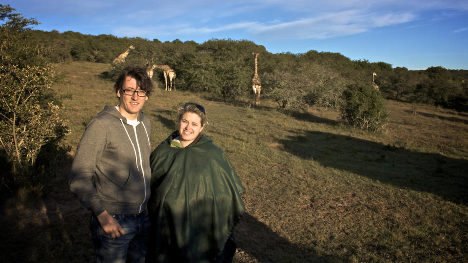 South africa wildlife reserve giraffe