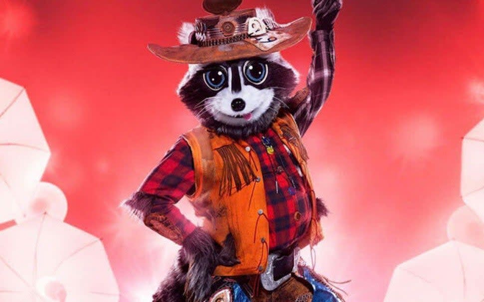 The Raccoon on 'The Masked Singer'