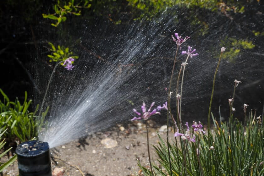 Greater Los Angeles, Tuesday, May 24, 2022 - drought related scenes from various neighborhoods. (Robert Gauthier/Los Angeles Times)