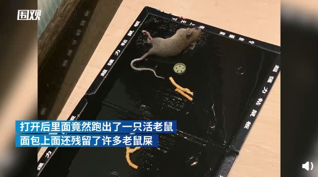 女子緊急購買多片黏鼠板，好不容易將老鼠捕獲。（圖／翻攝自澎湃新聞）