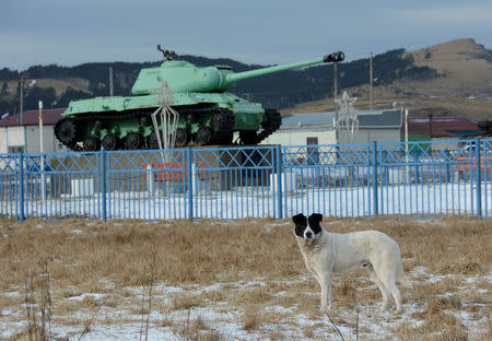 FILE PHOTO: A dog stands in front of a Soviet IS-2 tank, a World War II monument, in the village of Malokurilskoye on the island of Shikotan, Southern Kurils, Russia, December 18, 2016. REUTERS/Yuri Maltsev/File Photo