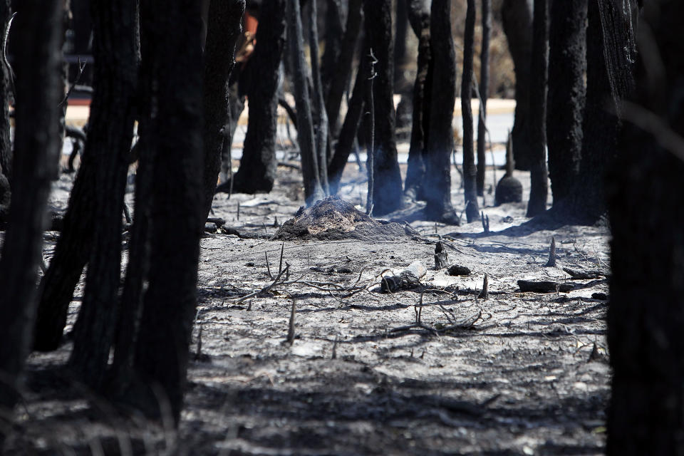 Bush Fire Continues To Threaten Western Australia Towns