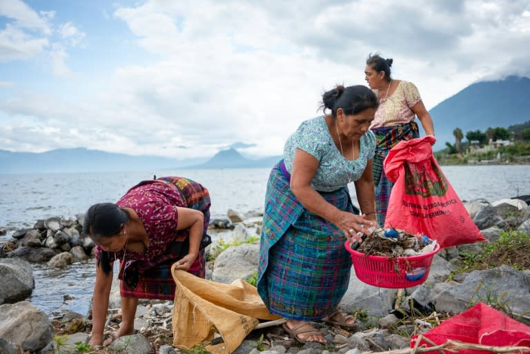 Mujeres indigenas de la comunidad Tz’unun Ya’, llamadas las ‘Guardianas del Lago’, recogen basura en la orilla del Lago Atitlán en Sololá, Guatemala el 27 de julio, 2024 (Carlos ALONZO)