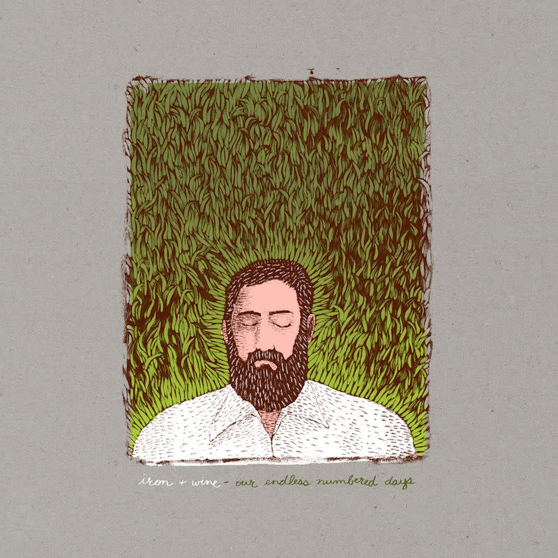 iron and wine endless numbered day deluxe edition