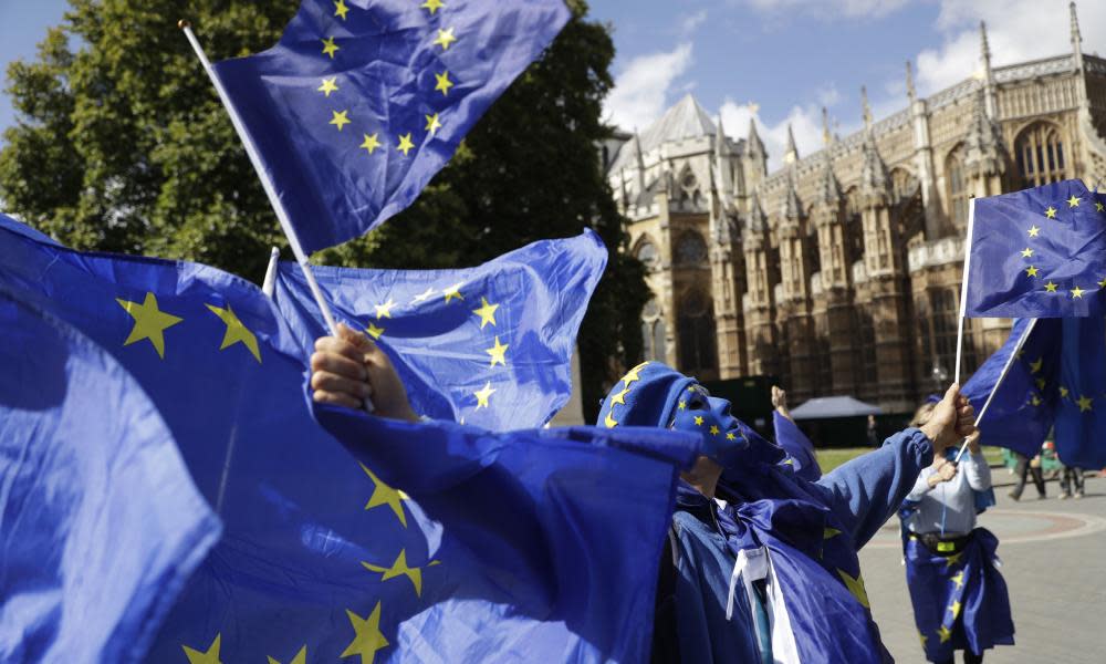 Pro-remain demonstrators