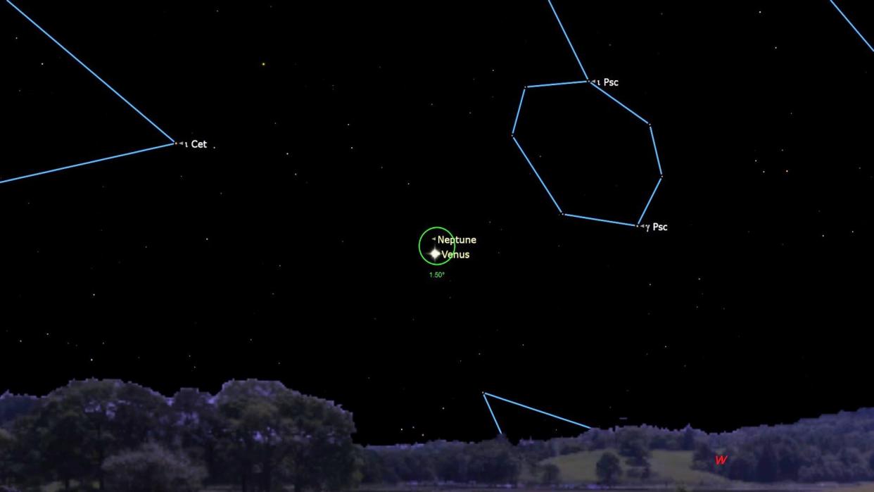  An illustration of the night sky on Feb. 14 showing the close approach of Venus and Neptune. 